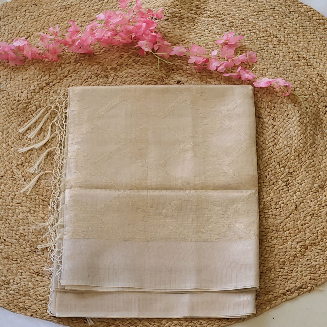 Ivory Dream - Ivory - Tissue Patola Saree